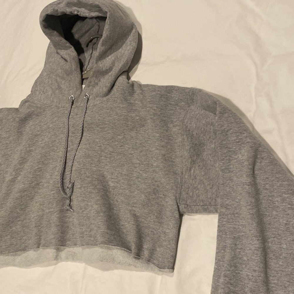 Hanes Hoodie (cropped)